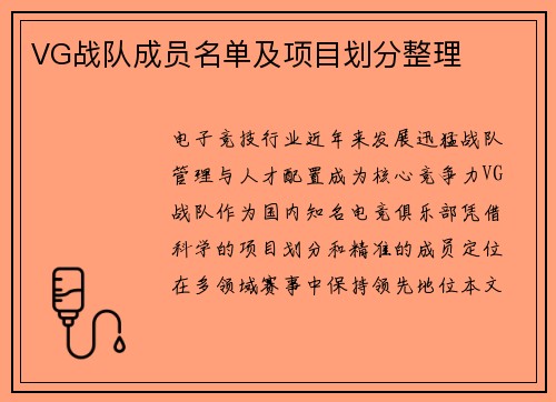 VG战队成员名单及项目划分整理