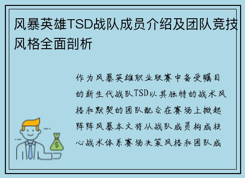 风暴英雄TSD战队成员介绍及团队竞技风格全面剖析