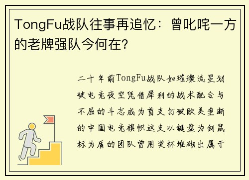 TongFu战队往事再追忆：曾叱咤一方的老牌强队今何在？